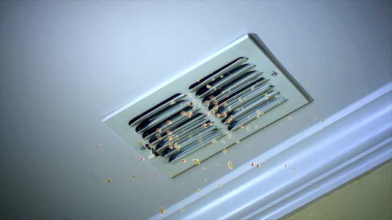 Best General Air Duct Cleaning  in Vley Grande, AL