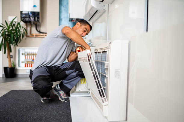 Best Home Air Vent Cleaning  in Vley Grande, AL