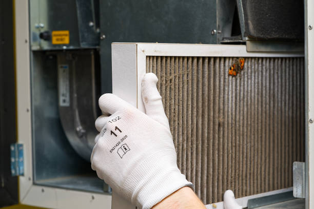 Best Commercial Air Duct Cleaning  in Vley Grande, AL