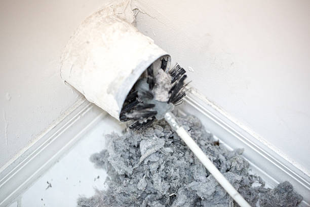 Best Affordable HVAC Duct Cleaning  in Vley Grande, AL